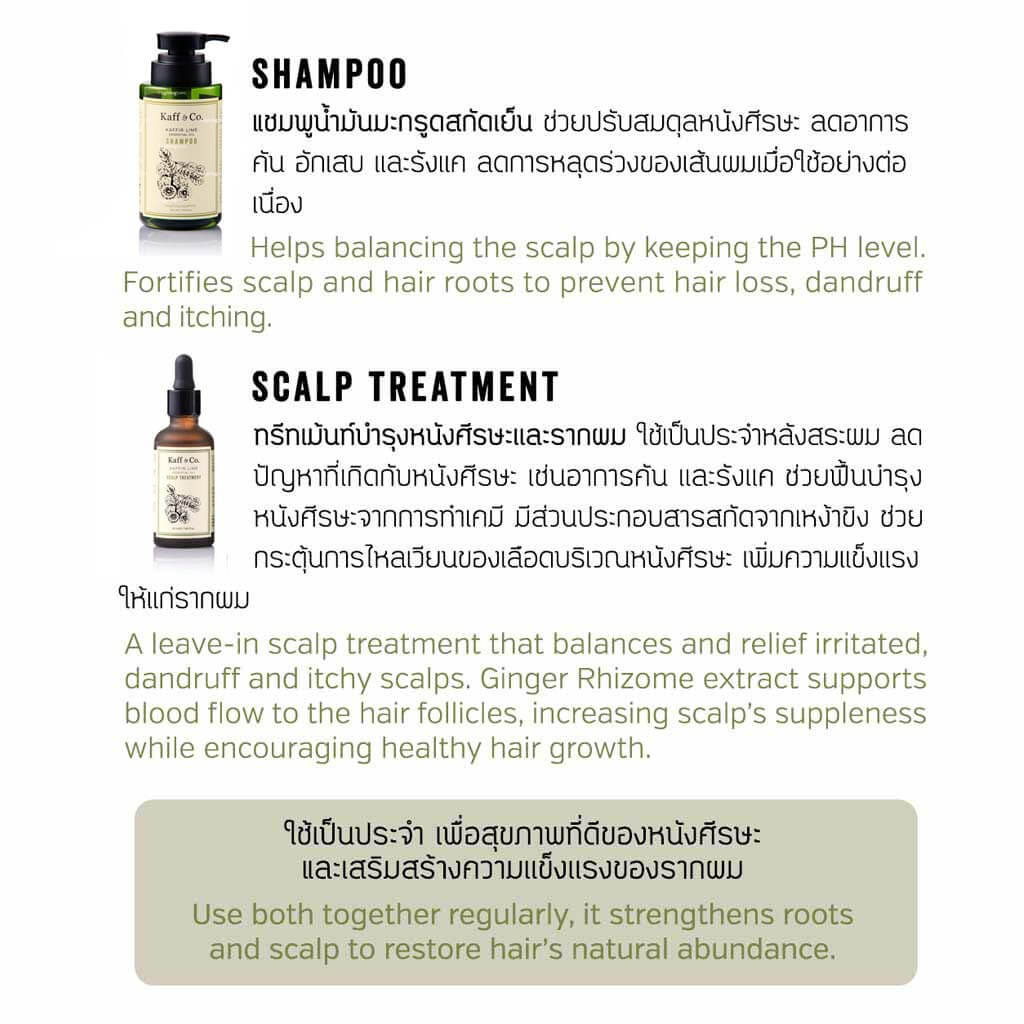 Kaff And Co – ทรีตเม้นท์บำรุงหนังศรีษะและรากผมน้ำมันมะกรูดสกัดเย็น Kaffir  Lime Essential Oil Scalp Treatment